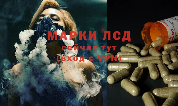 spice Алексеевка