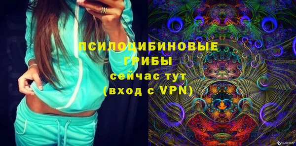 кокс Алексин