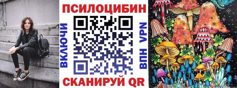 гидра tor  Жиздра  Галлюциногенные грибы Psilocybe 